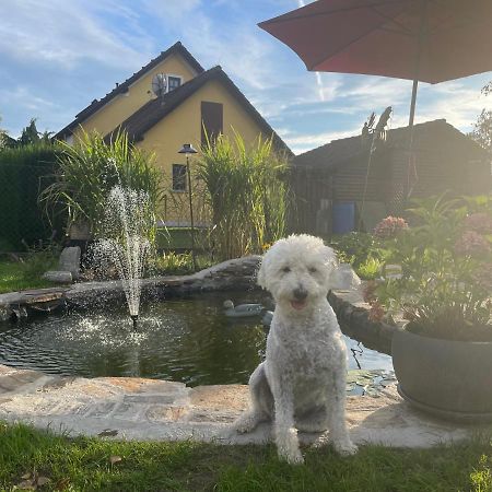 Ferienwohnung Eva Mureck Exteriér fotografie