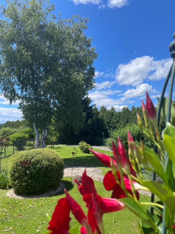 Ferienwohnung Eva Mureck Exteriér fotografie